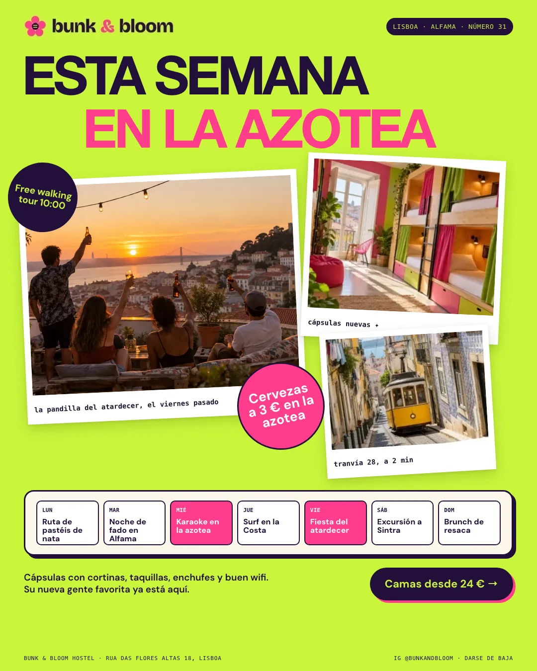 Ejemplo de newsletter de un hostel de Lisboa: fondo verde lima brillante, titular Esta semana en la azotea, fotos inclinadas con pegatinas y un calendario de eventos de siete días
