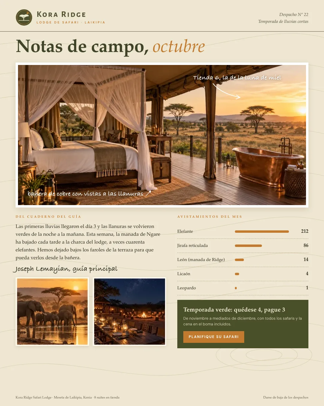 Ejemplo de newsletter de un lodge de safari: titular Notas de campo de octubre, una suite en tienda con bañera de cobre y notas manuscritas, una nota del guía principal y un recuento de avistamientos de animales