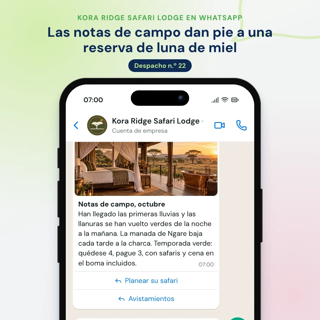 Newsletter de WhatsApp de un lodge de safari: notas de campo de octubre con una foto de la tienda, la IA comparte los avistamientos y reservas bloquea la tienda nupcial