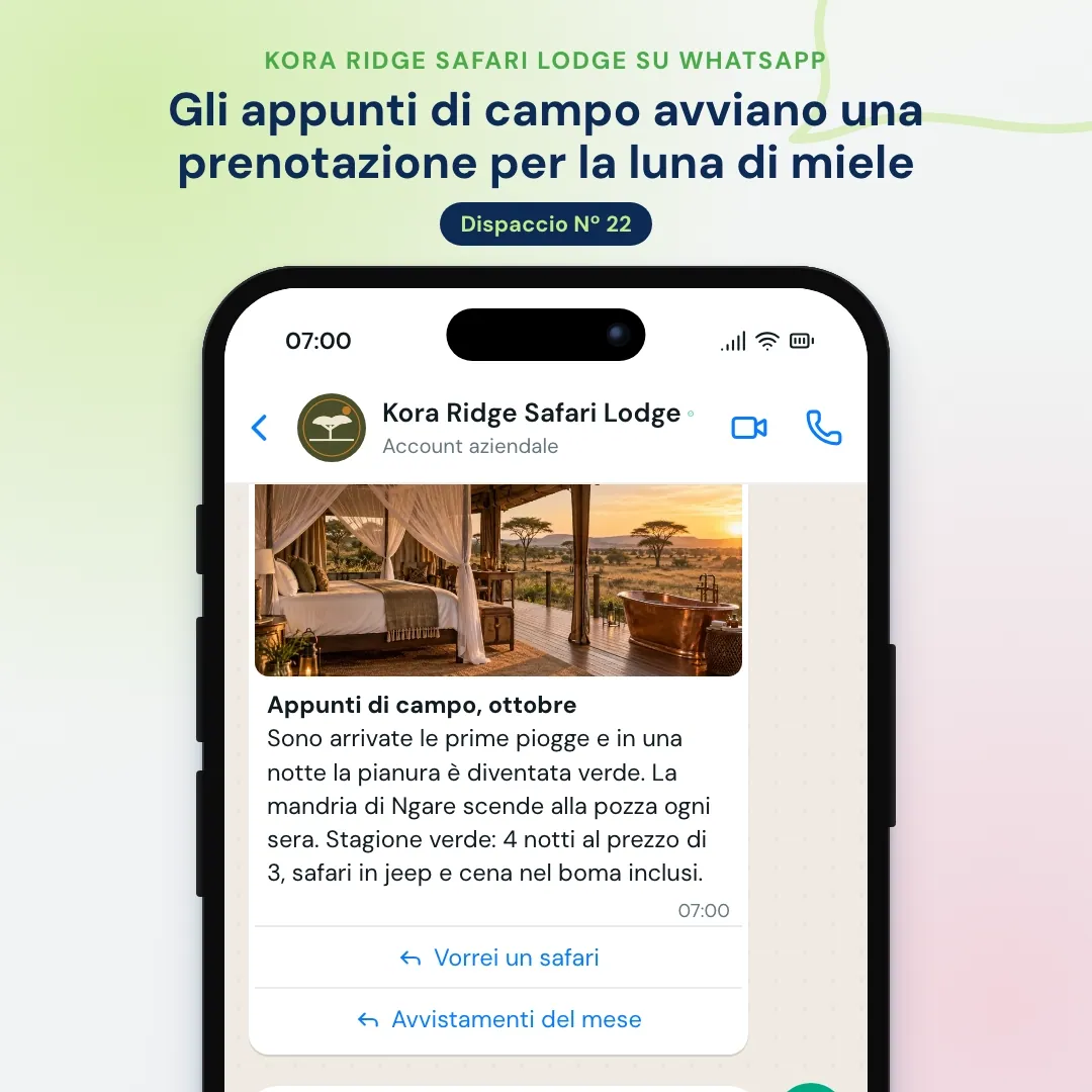 Newsletter WhatsApp di un safari lodge: appunti di campo di ottobre con la foto della tenda, l'IA condivide gli avvistamenti e l'ufficio prenotazioni tiene da parte la tenda per la luna di miele