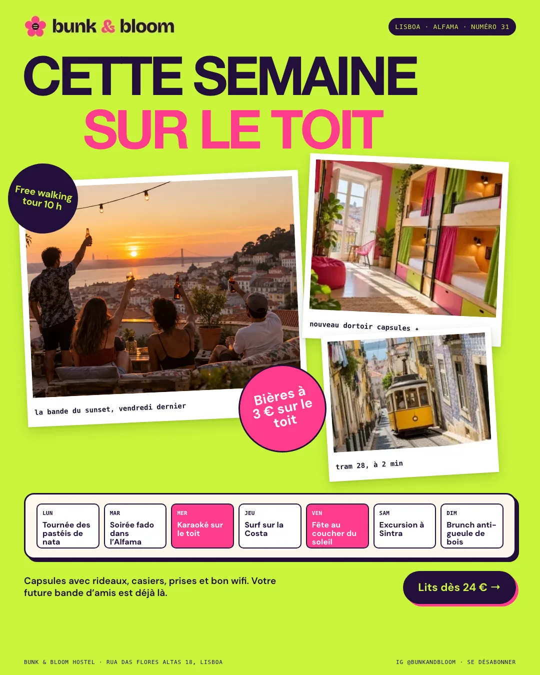 Exemple de newsletter d’une auberge de jeunesse à Lisbonne : fond vert citron vif, titre Cette semaine sur le toit, photos inclinées avec autocollants et calendrier d’événements sur sept jours
