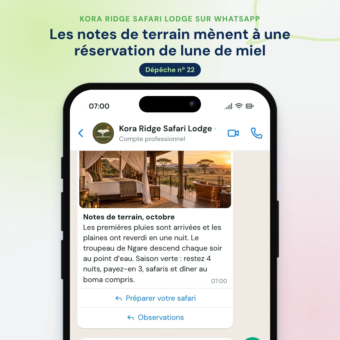 Newsletter WhatsApp d’un lodge de safari : notes de terrain d’octobre avec une photo de la tente, l’IA partage les observations et le service réservations bloque la tente des jeunes mariés