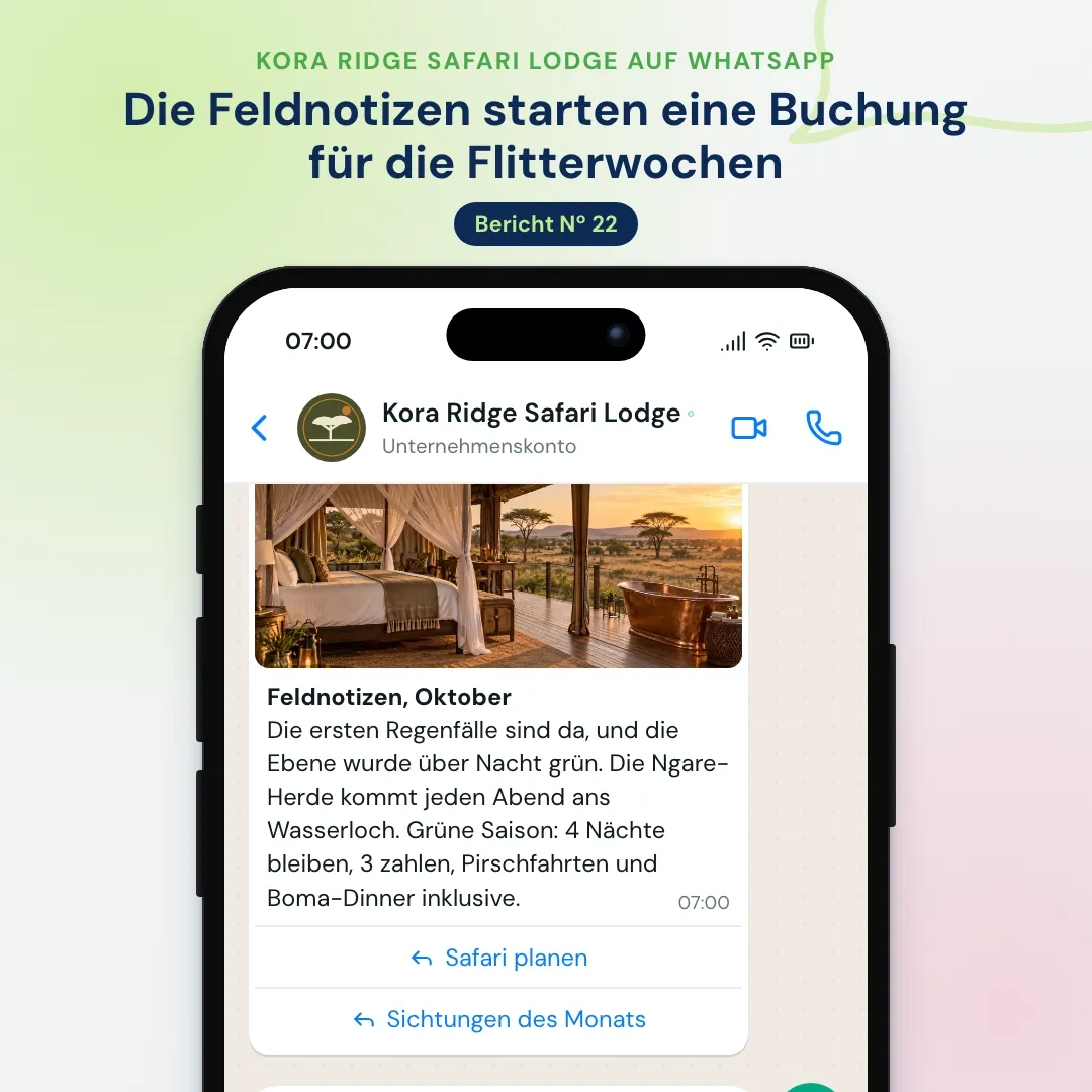 WhatsApp-Newsletter einer Safari-Lodge: Feldnotizen aus dem Oktober mit Foto eines Zelts, die KI teilt die Sichtungen und die Reservierung hält das Honeymoon-Zelt frei