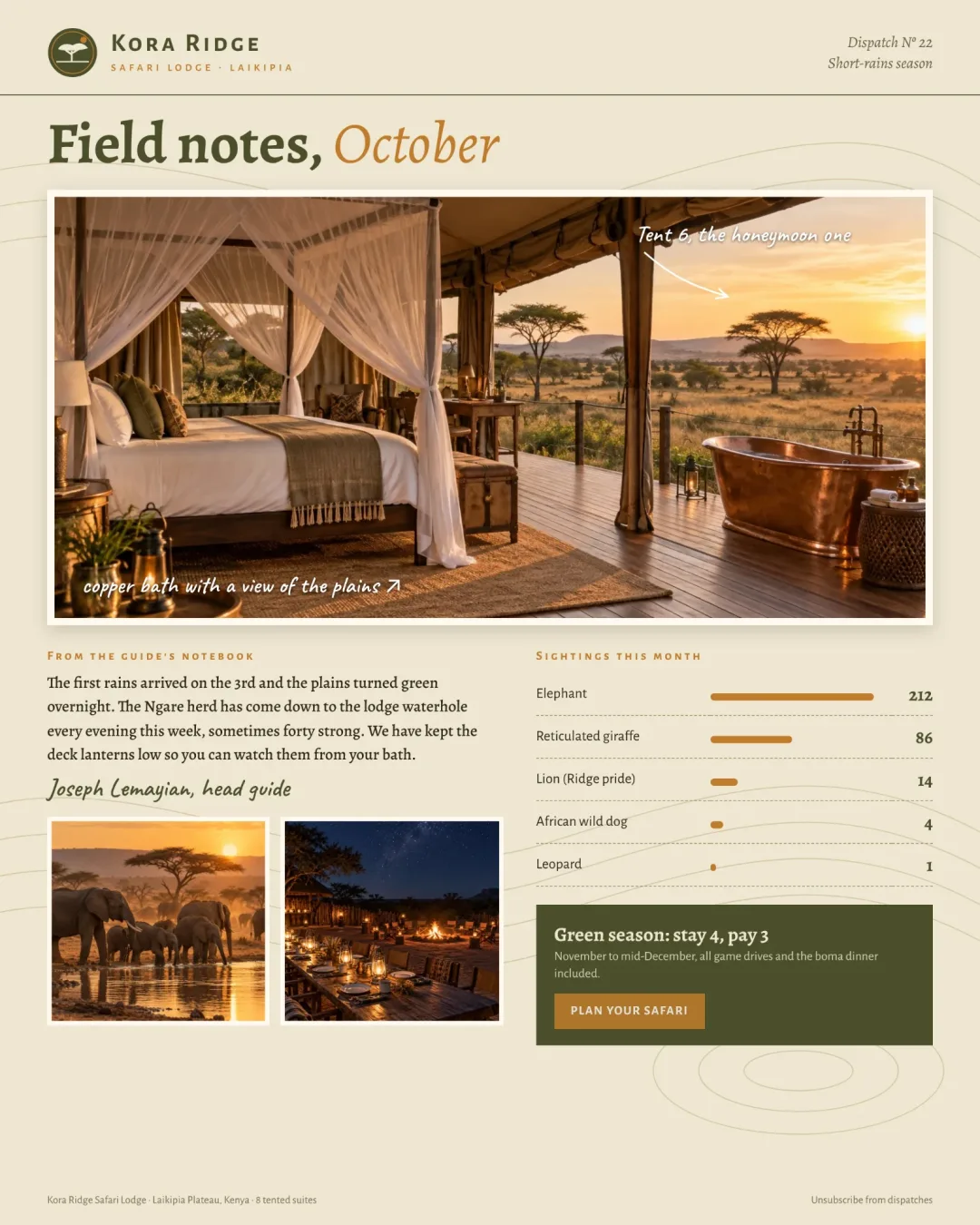 Esempio di newsletter di un safari lodge: titolo con gli appunti di campo di ottobre, una tented suite con vasca in rame e note scritte a mano, un messaggio della guida capo e il conteggio degli avvistamenti di animali